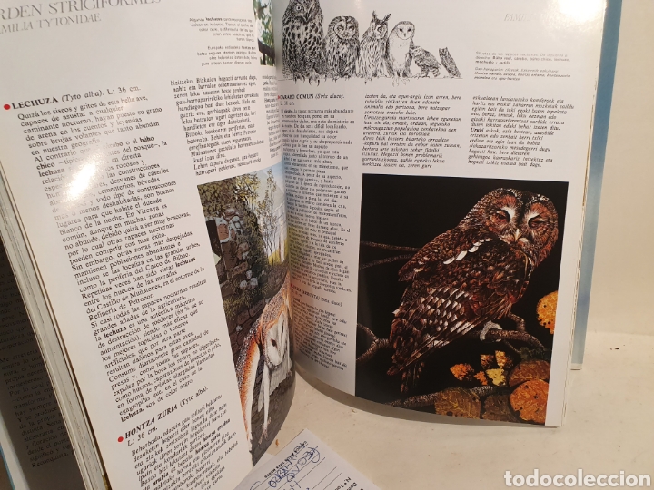 Libros de segunda mano: GURE HEGASTIAK. NUESTRAS AVES. PETRONOR, 3&deg;EDICI&Oacute;N A&Ntilde;O 2000 - Foto 5