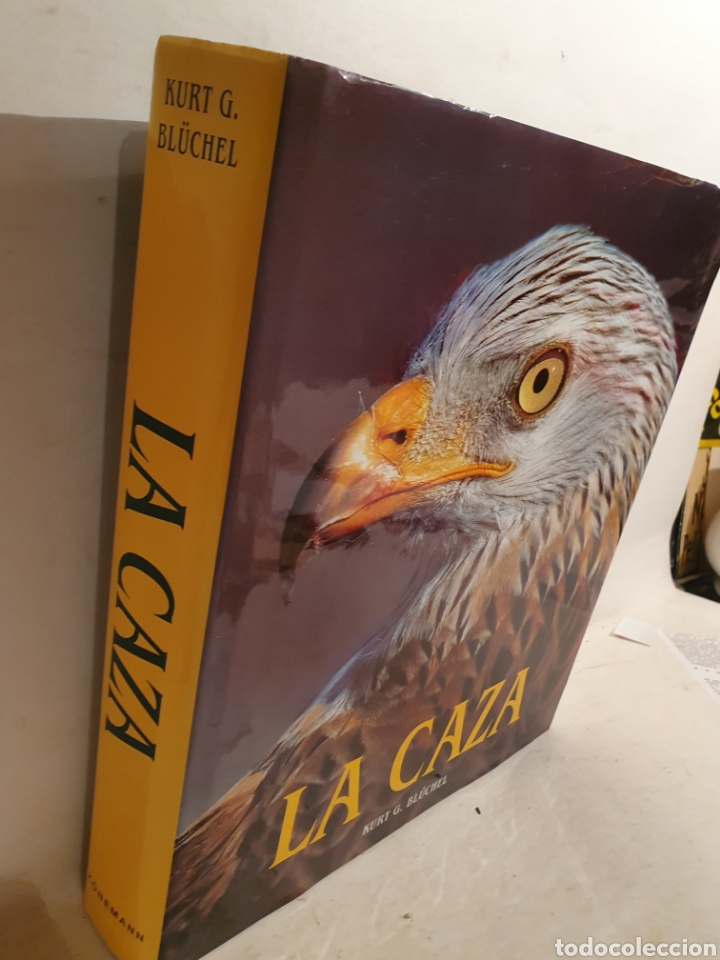 Libros de segunda mano: LA CAZA. KURT G. BL&Uuml;CHEL. K&Ouml;NEMANN, A&Ntilde;O 2000 - Foto 2