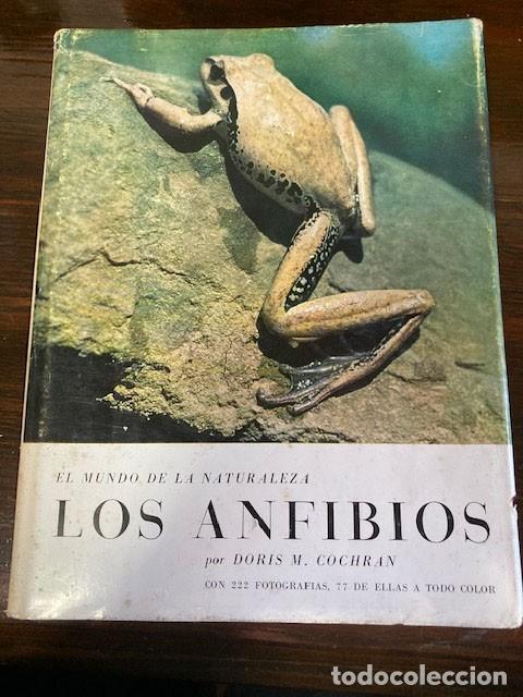 Libros de segunda mano: Los anfibios de Seix Barral - Foto 1