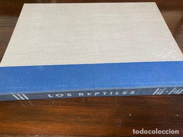 Libros de segunda mano: Los reptiles Seix Barral - Foto 2