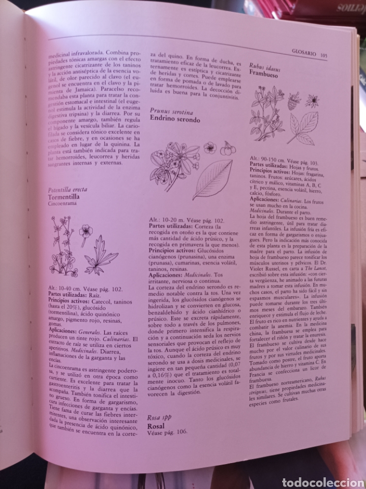 Libros de segunda mano: La nueva era de las hierbas Richard mabey - Foto 6