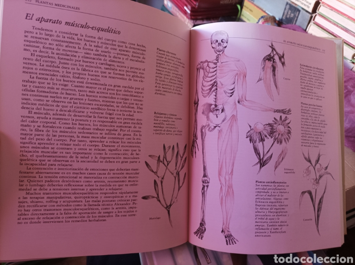 Libros de segunda mano: La nueva era de las hierbas Richard mabey - Foto 7