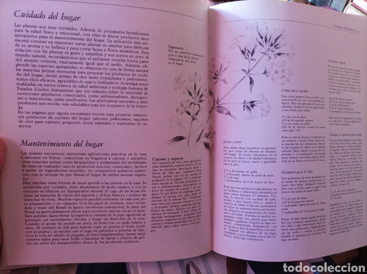 Libros de segunda mano: La nueva era de las hierbas Richard mabey - Foto 8