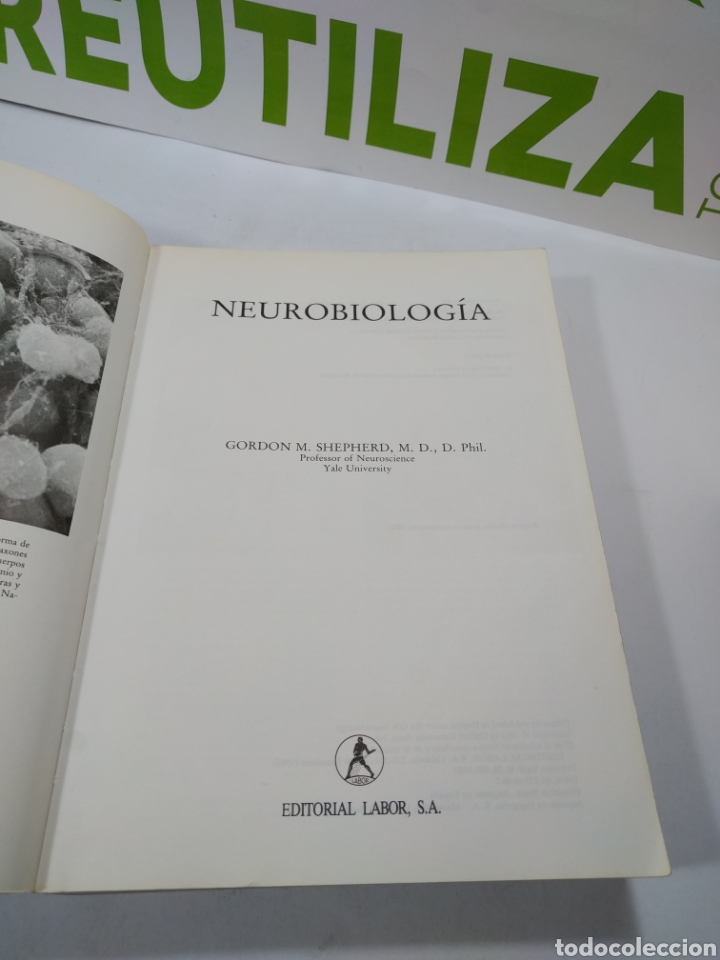 Libros de segunda mano de ciencias: Neurobiolog&iacute;a. Gordon M. Shepherd. Labor - Foto 2