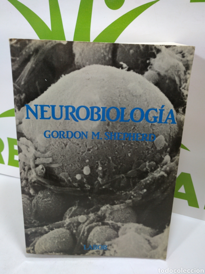 Libros de segunda mano de ciencias: Neurobiolog&iacute;a. Gordon M. Shepherd. Labor - Foto 1