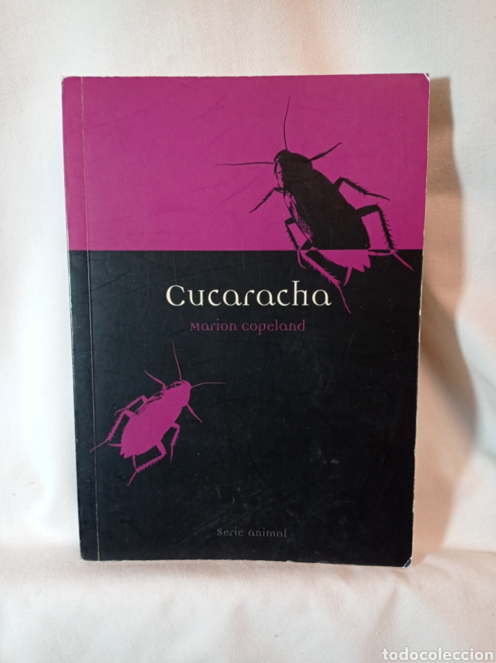 Libros de segunda mano: CUCARACHA. MARION COPELAND - Foto 1