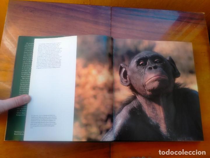 Libros de segunda mano: Bonobos. Frans de Waal. Photos Frans Lanting - Foto 5
