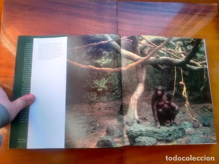 Libros de segunda mano: Bonobos. Frans de Waal. Photos Frans Lanting - Foto 6
