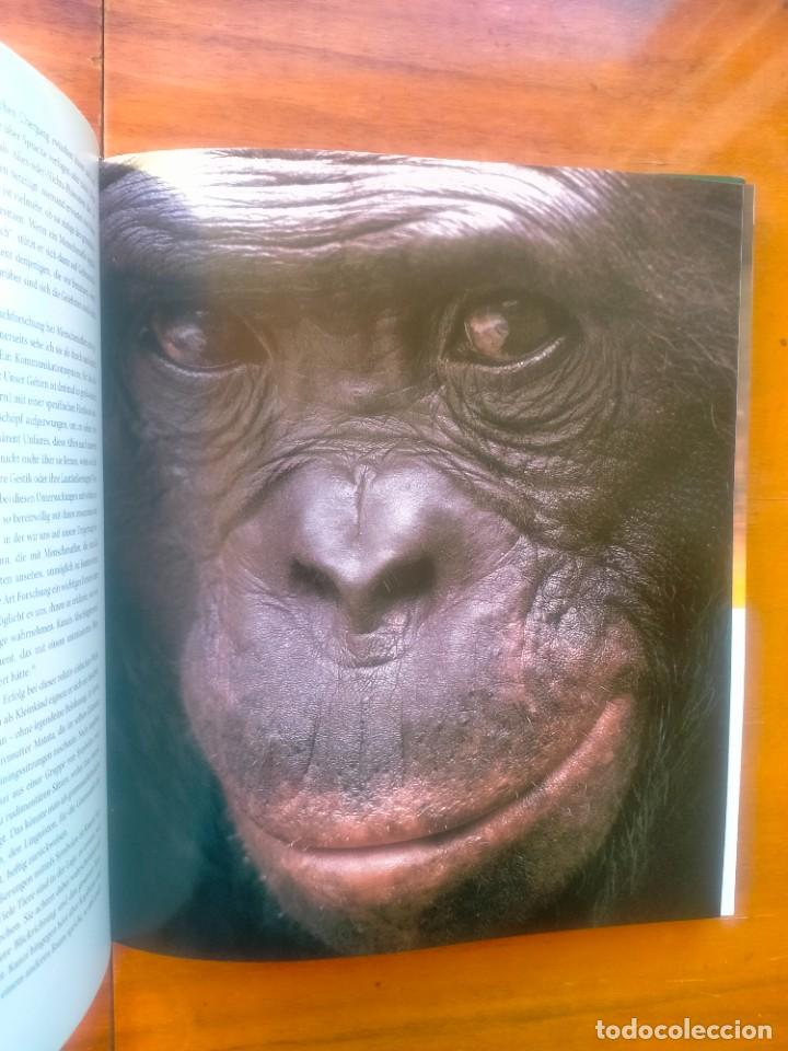 Libros de segunda mano: Bonobos. Frans de Waal. Photos Frans Lanting - Foto 7