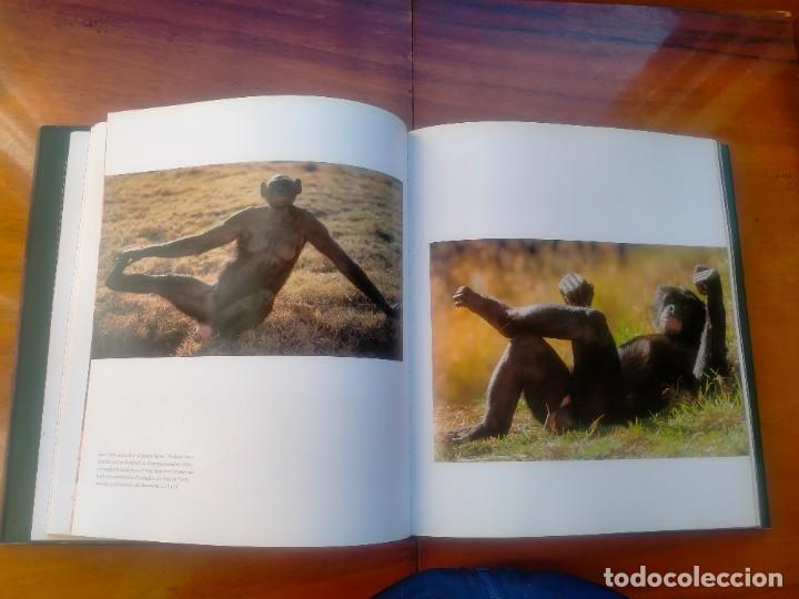 Libros de segunda mano: Bonobos. Frans de Waal. Photos Frans Lanting - Foto 8