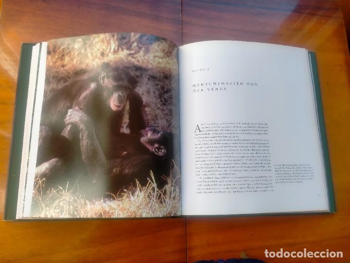Libros de segunda mano: Bonobos. Frans de Waal. Photos Frans Lanting - Foto 10
