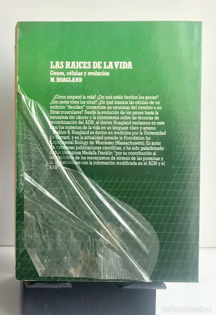 Libros de segunda mano: LAS RA&Iacute;CES DE LA VIDA. Mahlon B. Hoagland - Foto 2