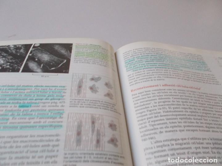 Libros de segunda mano: BIOLOG&Iacute;A MOLECULAR DE LA C&Egrave;L.LULA - Foto 8