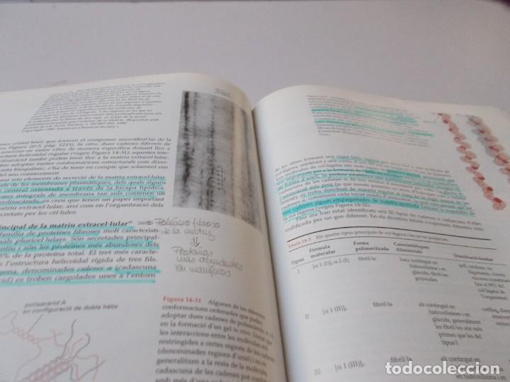 Libros de segunda mano: BIOLOG&Iacute;A MOLECULAR DE LA C&Egrave;L.LULA - Foto 9