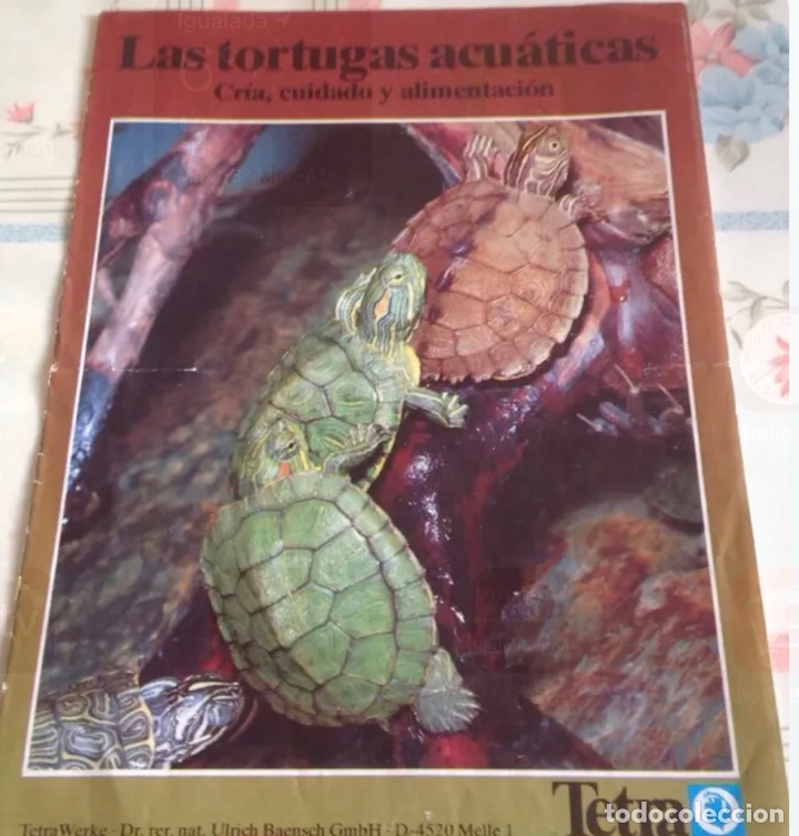 Libros de segunda mano: Libro &rdquo;MIS TORTUGAS&rdquo;. - Foto 2