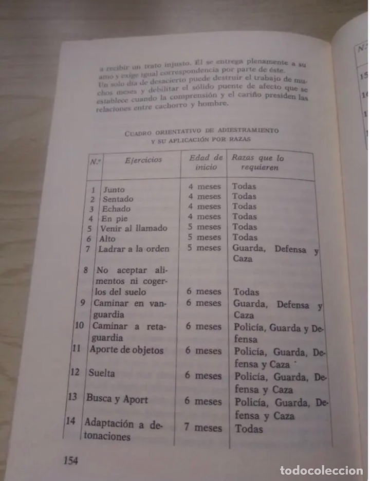 Libros de segunda mano: EL CACHORRO (LIBRO NUEVO) - Foto 2