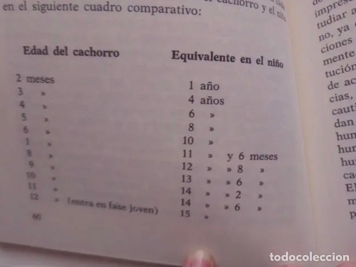 Libros de segunda mano: EL CACHORRO (LIBRO NUEVO) - Foto 4