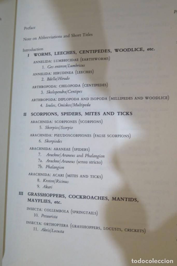 Libros de segunda mano: Insects And Other Invertebrates In Classical Antiquity. BEAVIS - Foto 2