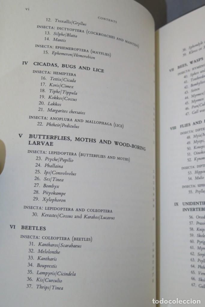 Libros de segunda mano: Insects And Other Invertebrates In Classical Antiquity. BEAVIS - Foto 3