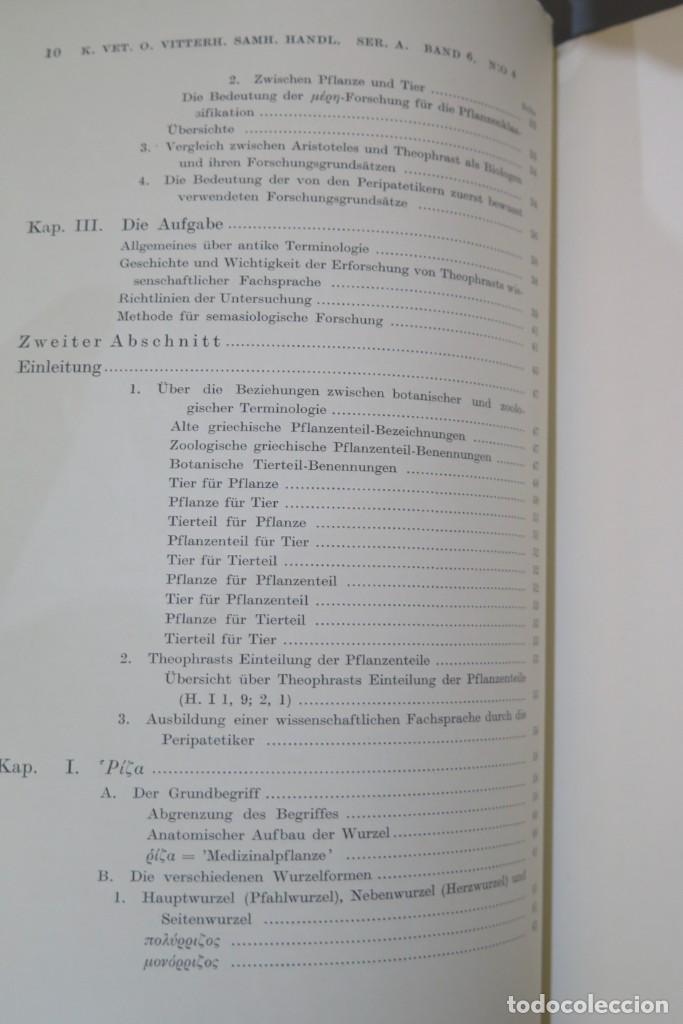 Libros de segunda mano: 1937.- Theophrastea. Studien zur Botanischen Begriffsbildung (Studies on Botanical Definitions) - Foto 3