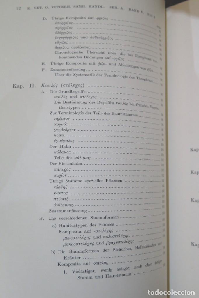 Libros de segunda mano: 1937.- Theophrastea. Studien zur Botanischen Begriffsbildung (Studies on Botanical Definitions) - Foto 5