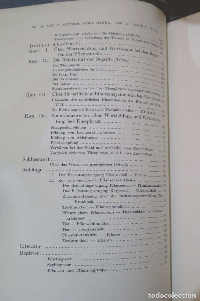 Libros de segunda mano: 1937.- Theophrastea. Studien zur Botanischen Begriffsbildung (Studies on Botanical Definitions) - Foto 7
