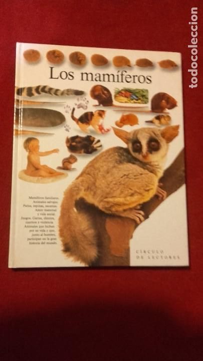 Libros de segunda mano: LOS MAMIFEROS - ED. CIRCULO DE LECTORES - CARTONE - Foto 1