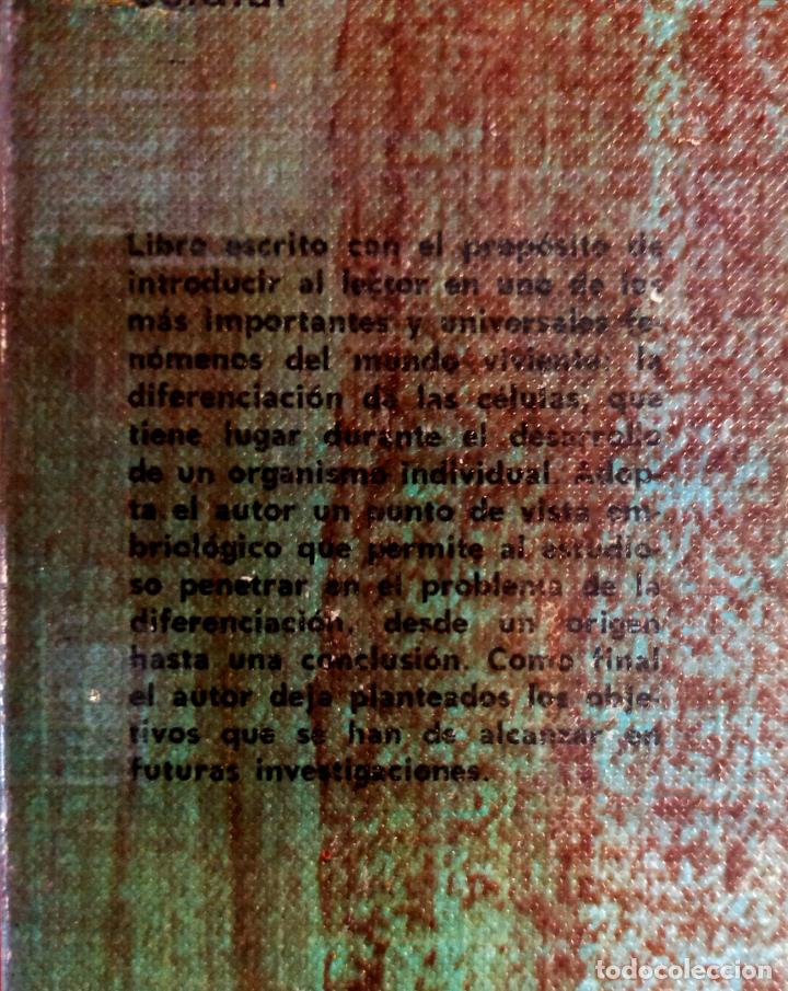 Libros de segunda mano: INTRODUCCI&Oacute;N A LA DIFERENCIACI&Oacute;N CELULAR - Foto 2