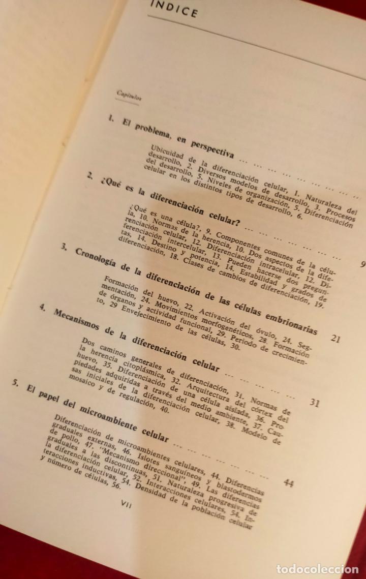 Libros de segunda mano: INTRODUCCI&Oacute;N A LA DIFERENCIACI&Oacute;N CELULAR - Foto 3