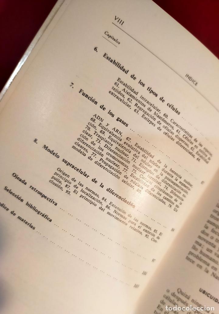 Libros de segunda mano: INTRODUCCI&Oacute;N A LA DIFERENCIACI&Oacute;N CELULAR - Foto 4