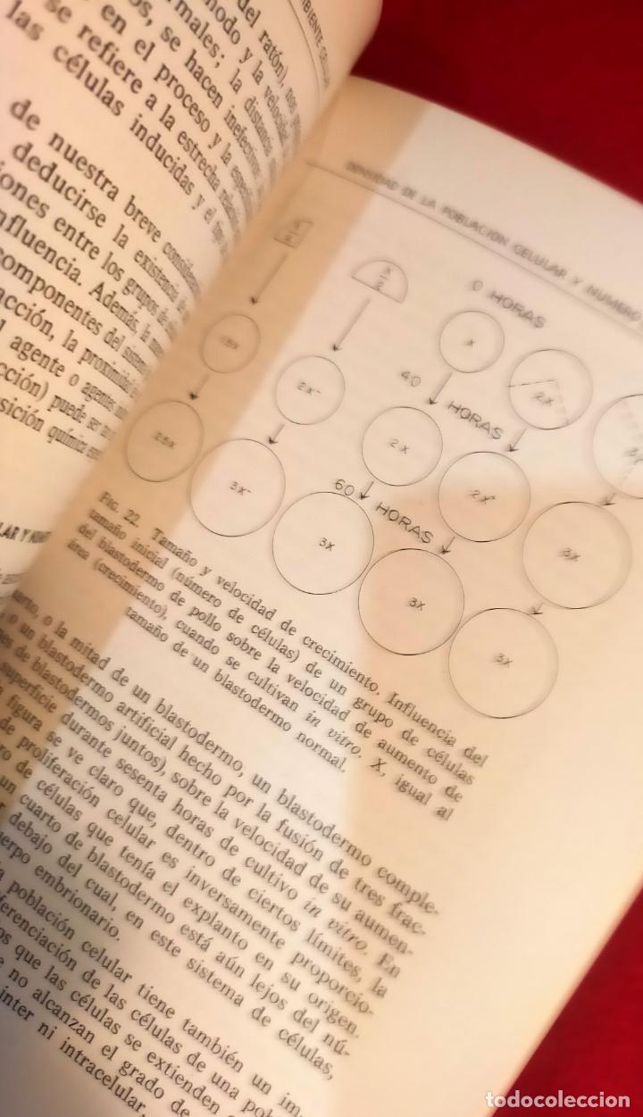 Libros de segunda mano: INTRODUCCI&Oacute;N A LA DIFERENCIACI&Oacute;N CELULAR - Foto 5