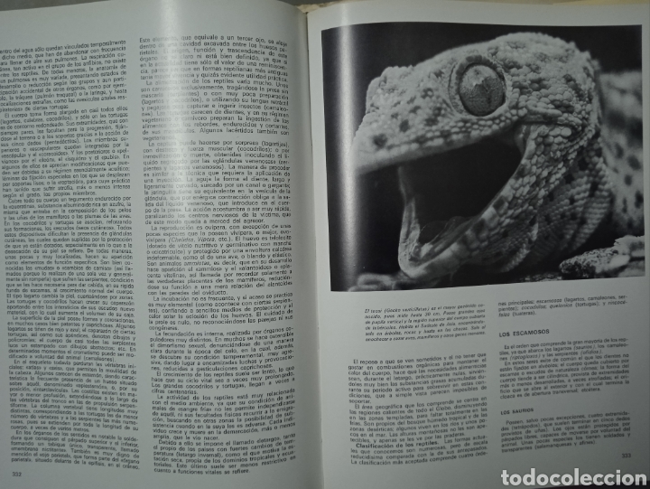 Libros de segunda mano: La vida maravillosa de los animales - Foto 4