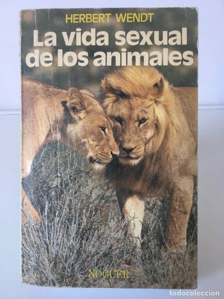 Libros de segunda mano: La vida sexual de los animales. Herbert Wendt - Foto 1