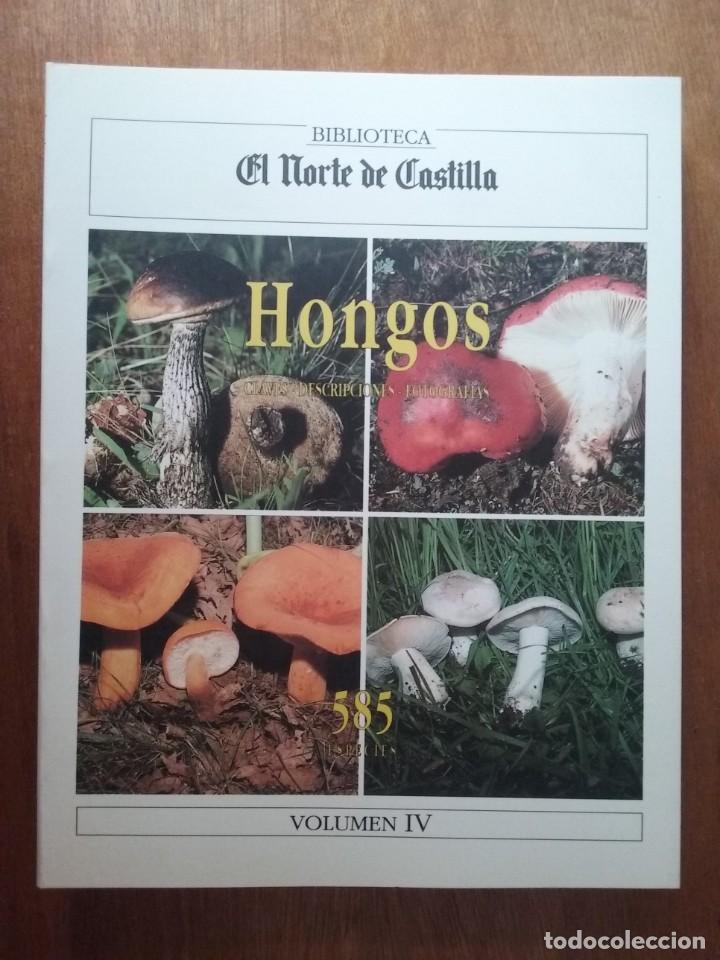 Second hand books: HONGOS, CLAVES DESCRIPCIONES Y FOTOGRAFIAS, BIBLIOTECA EL NORTE DE CASTILLA, VOLUMEN IV