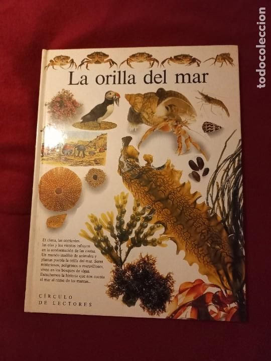 Libros de segunda mano: LA ORILLA DEL MAR - BIBLIOTECA VISUAL - ED. CIRCULO DE LECTORES - CARTONE - Foto 1