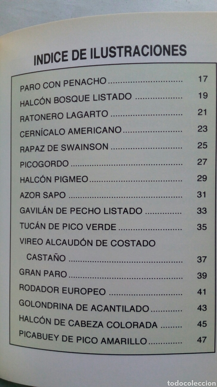 Libros de segunda mano: P&aacute;jaros. Toni Howe. - Foto 4