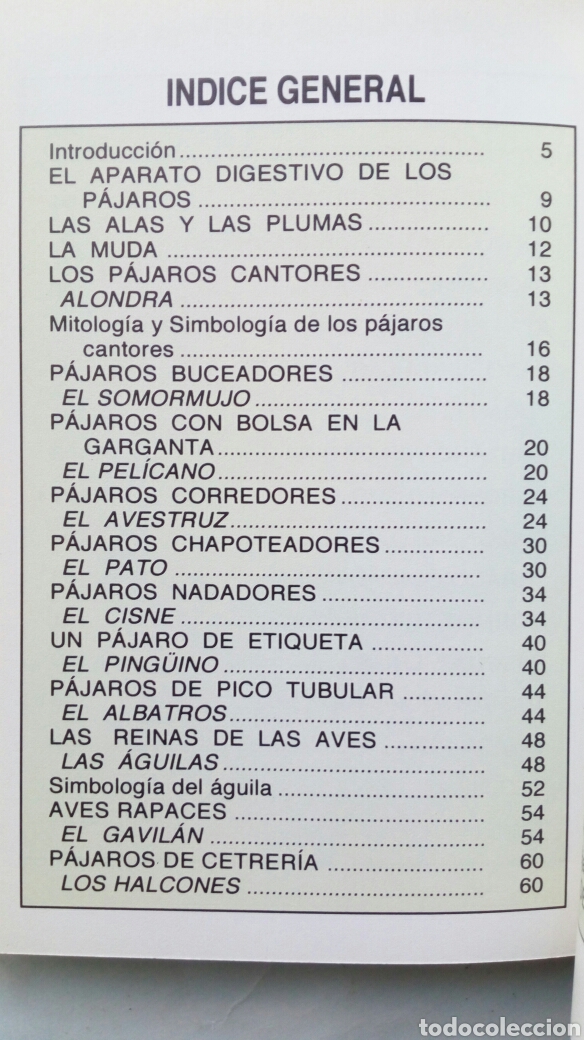 Libros de segunda mano: P&aacute;jaros. Toni Howe. - Foto 7