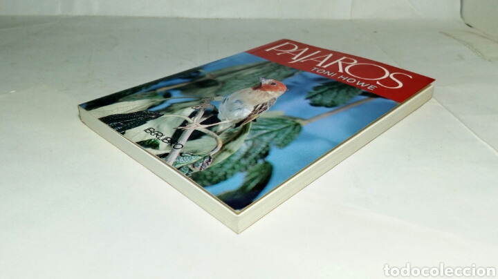 Libros de segunda mano: P&aacute;jaros. Toni Howe. - Foto 9