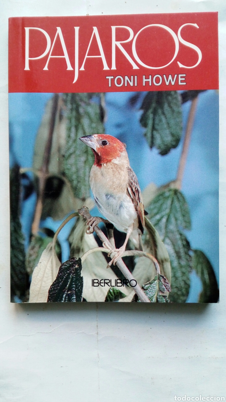 Libros de segunda mano: P&aacute;jaros. Toni Howe. - Foto 1