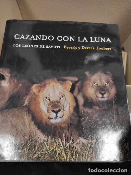 Libros de segunda mano: CAZANDO CON LA LUNA. LOS LEONES DE SAVUTI - BEVERLY JOUBERT - DERECK JOUBERT - Foto 1