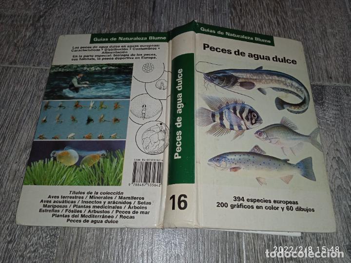 Libros de segunda mano: Libro PECES DE AGUA DULCE GU&Iacute;A DE NATURALEZA BLUME - Foto 2
