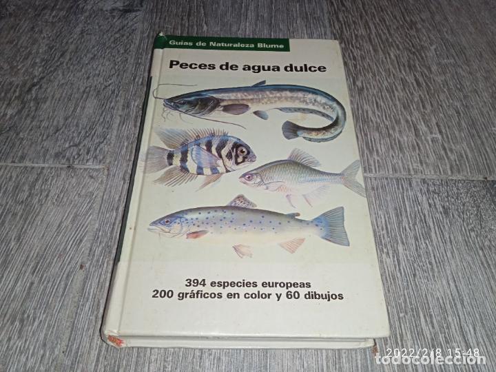 Libros de segunda mano: Libro PECES DE AGUA DULCE GU&Iacute;A DE NATURALEZA BLUME - Foto 1