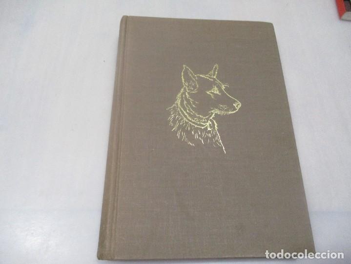 Libros de segunda mano: ERICH SCHNEIDER-LEYER Los perros del mundo W10871 - Foto 1