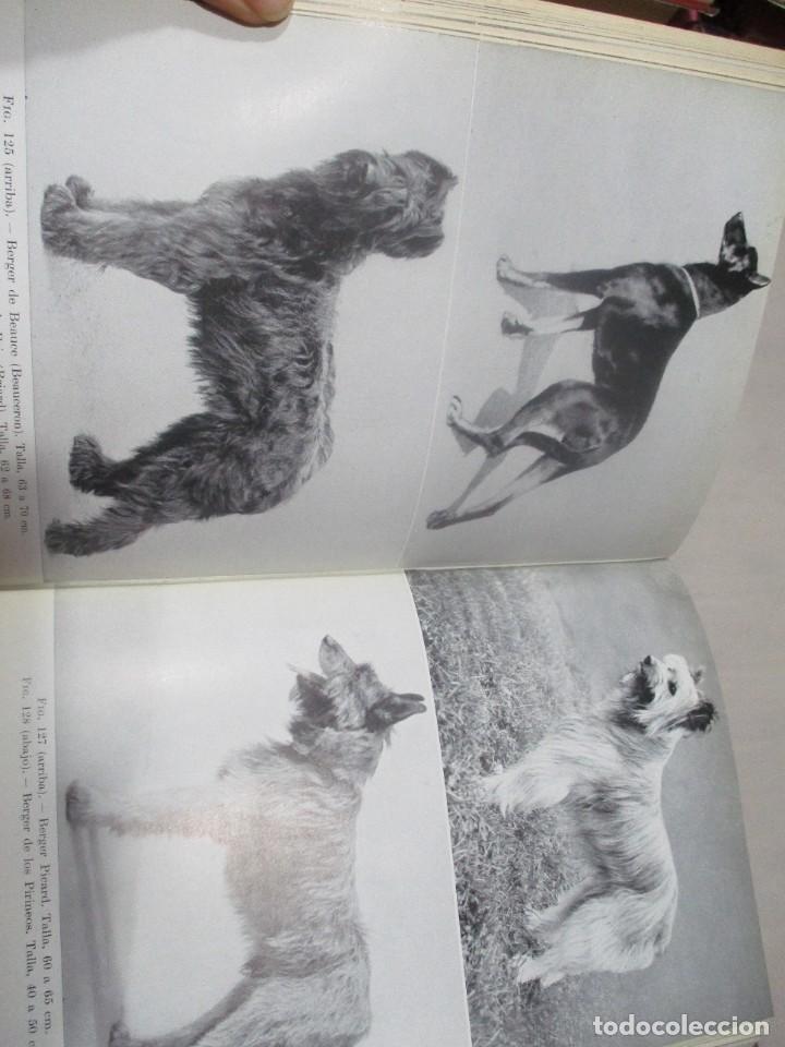 Libros de segunda mano: ERICH SCHNEIDER-LEYER Los perros del mundo W10871 - Foto 4