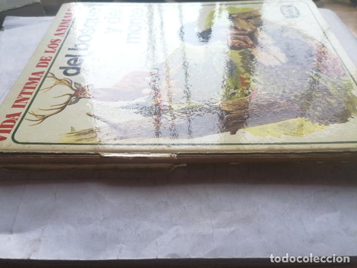 Libros de segunda mano: VIDA INTIMA DE LOS ANIMALES, DEL BOSQUE Y DEL MONTE - AURIGA CIENCIA - Foto 2