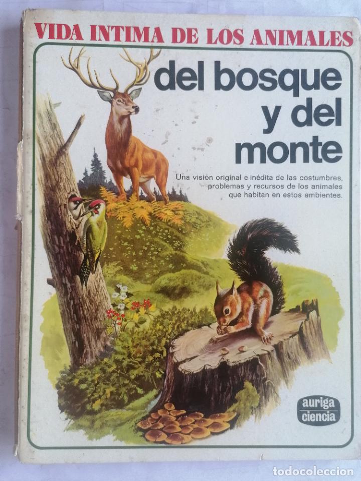 Libros de segunda mano: VIDA INTIMA DE LOS ANIMALES, DEL BOSQUE Y DEL MONTE - AURIGA CIENCIA - Foto 1