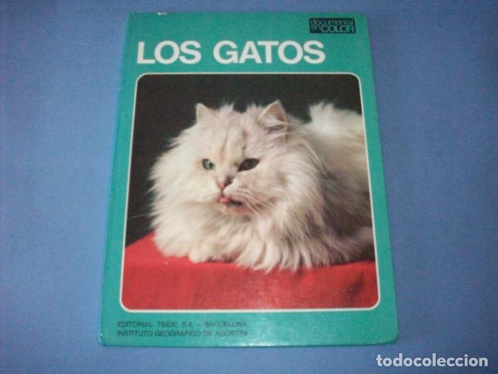 Libros de segunda mano: los gatos documental en color editorial teide - Foto 1