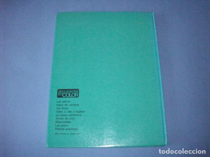 Libros de segunda mano: los gatos documental en color editorial teide - Foto 3