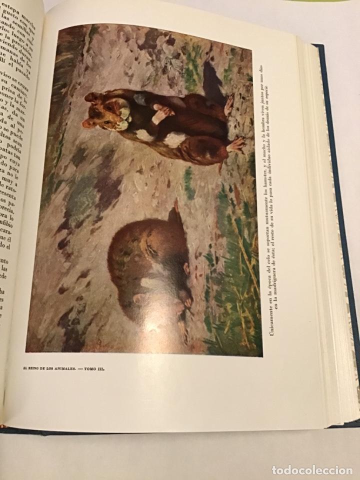 Libros de segunda mano: El reino de los animales. Espasa Calpe. 2 tomos - Foto 3