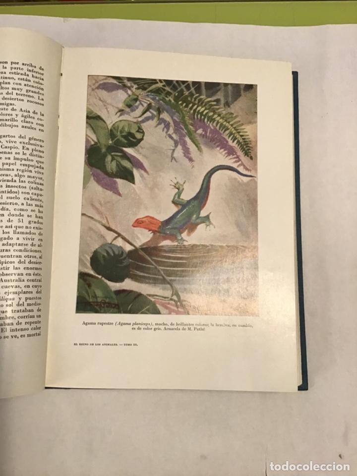 Libros de segunda mano: El reino de los animales. Espasa Calpe. 2 tomos - Foto 5